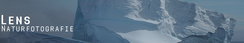 GreenLens.de - Headerbild