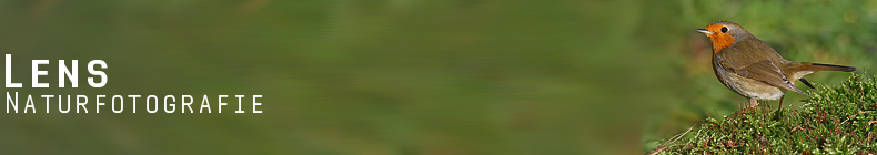 GreenLens.de - Headerbild