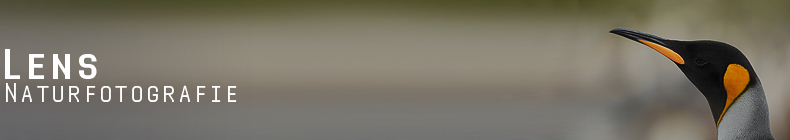 GreenLens.de - Headerbild