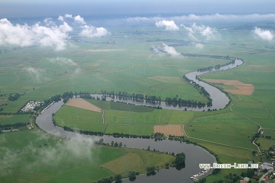 Eider - Copyright Stefan Pfützke