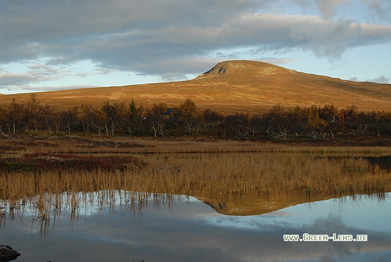 Bergtundra - Copyright Christian Gelpke