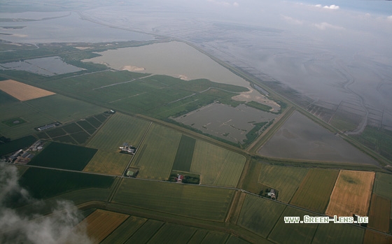 Beltringharder Koog - Copyright Stefan Pfützke