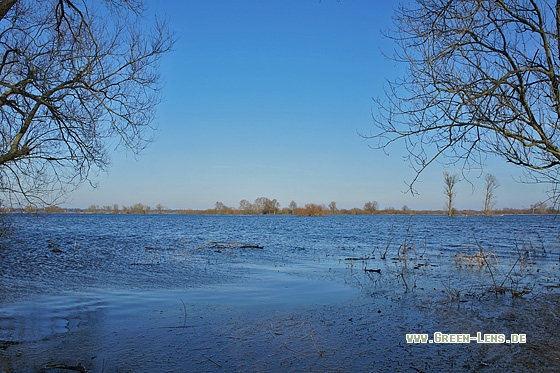 Überschwemmungsflächen - Copyright Stefan Pfützke