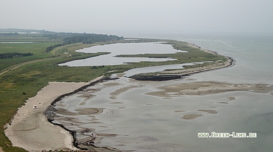 Grüner Brink, Fehmarn - Copyright Stefan Pfützke