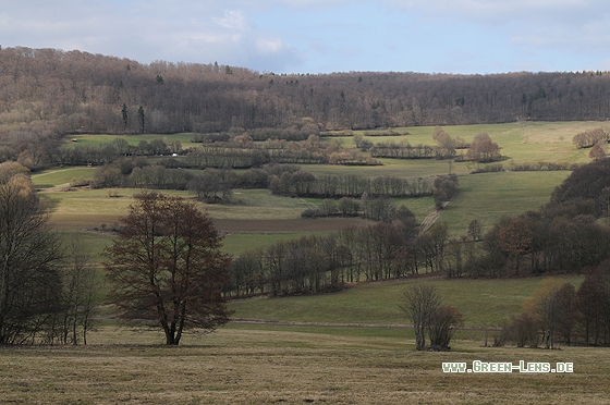 Halboffenlandschaft - Copyright Christian Gelpke