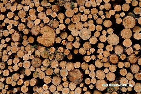 Holzwirtschaft - Copyright Christian Gelpke