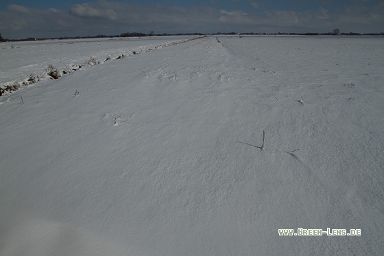 Winterlanschaft - Copyright Stefan Pfützke