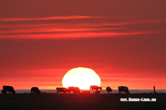 Sonnenuntergang - Copyright Stefan Pfützke