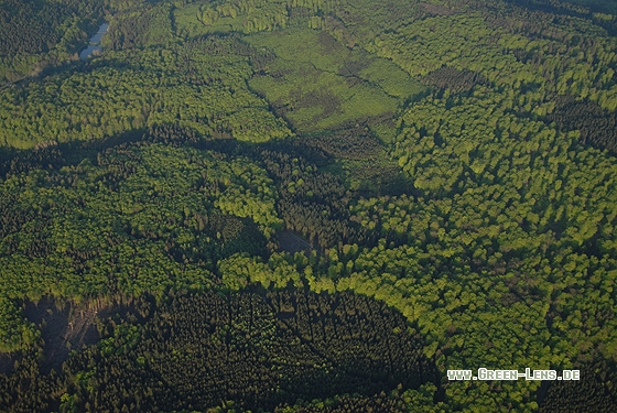 Mischwald - Copyright Christian Gelpke