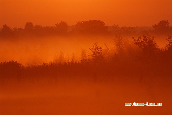 Moor - Copyright Christian Gelpke