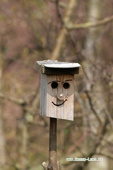 Nistkasten - Copyright Stefan Pfützke