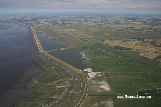 Rickelsbüller Koog - Copyright Stefan Pfützke