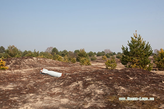 Sandheide - Copyright Mathias Putze