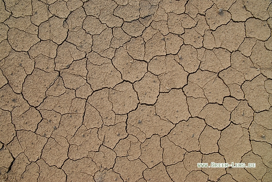 Trockenheit - Copyright Christian Gelpke