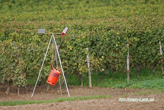 Vergrämung - Copyright Christian Gelpke