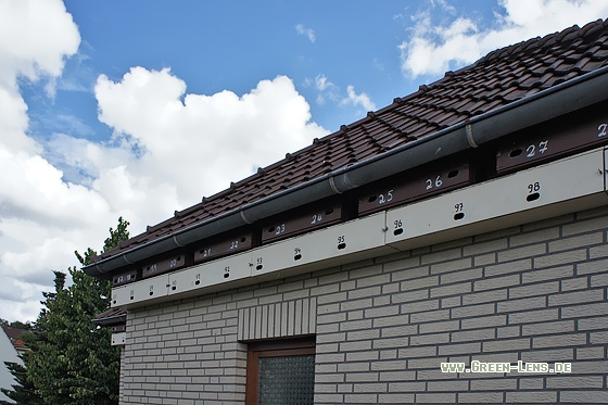 Mauerseglernisthilfe - Copyright Stefan Pfützke